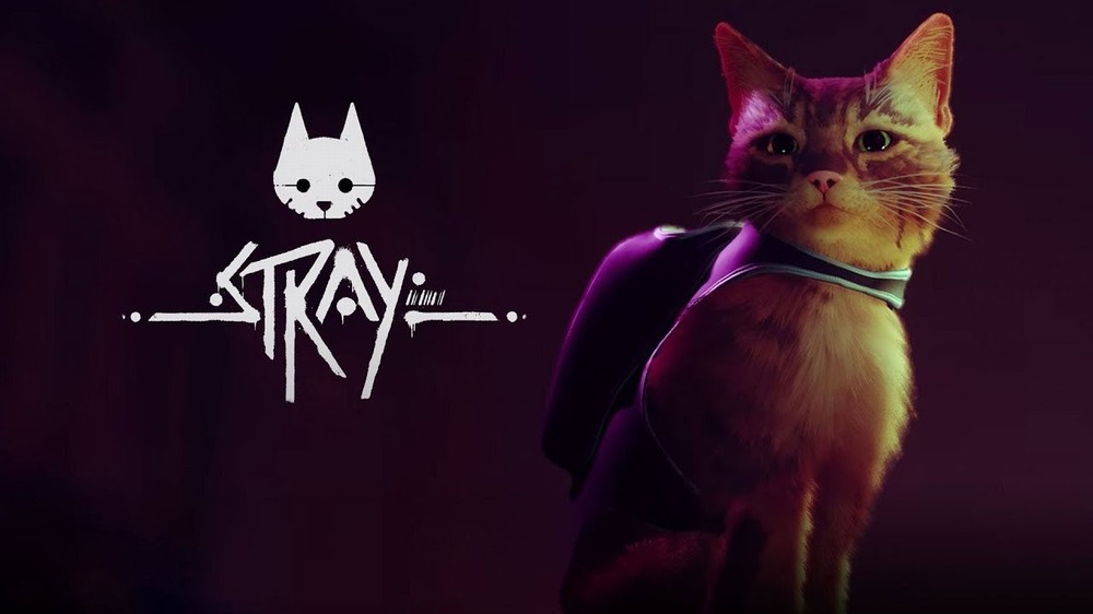 Stray' — the videogame where you play as a cat — is breaking the internet -  MarketWatch